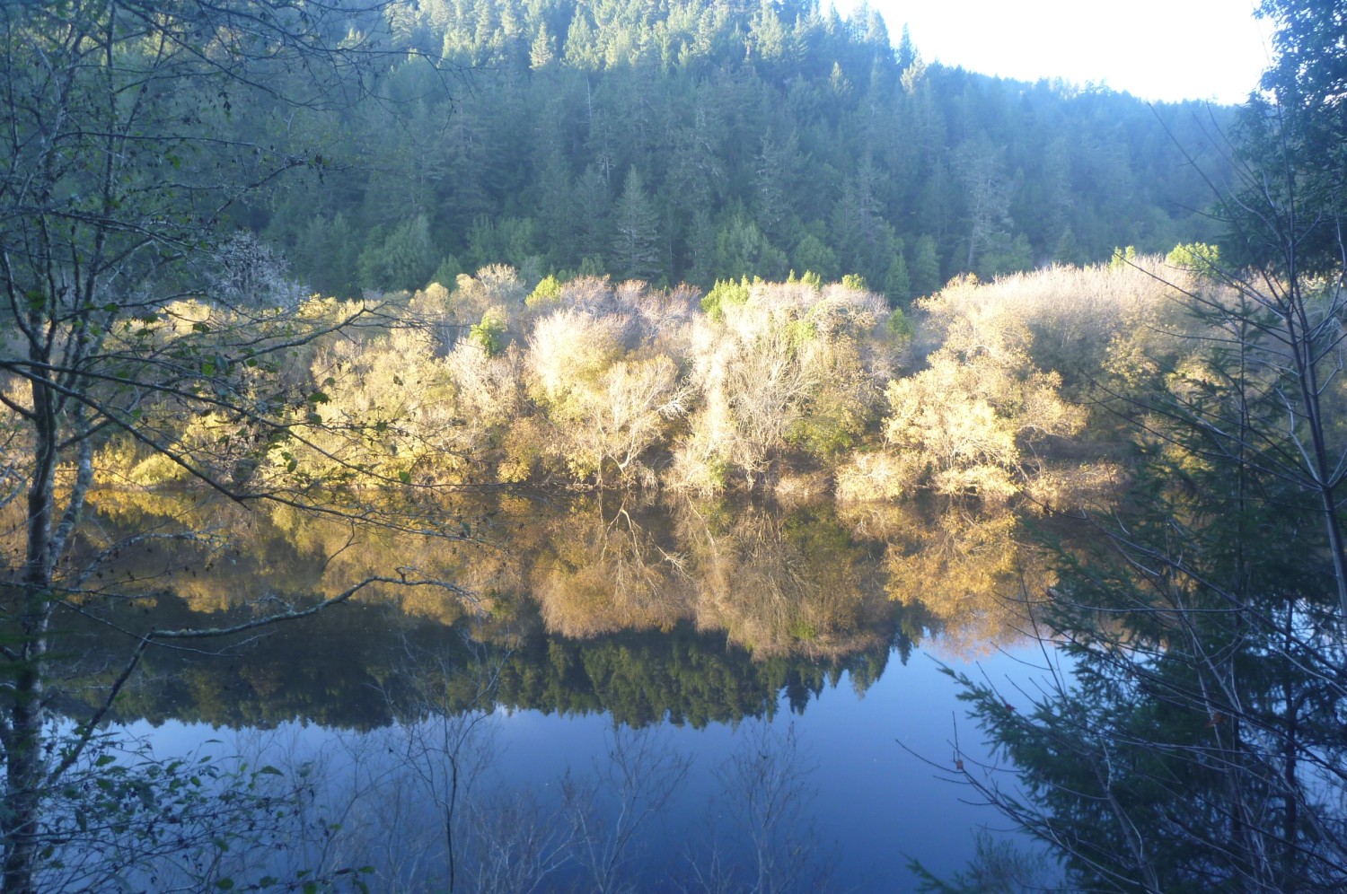 View across Russian River from Moscow Road