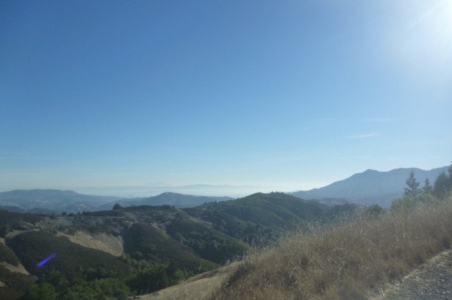 Mt Tam from Pine Mountain